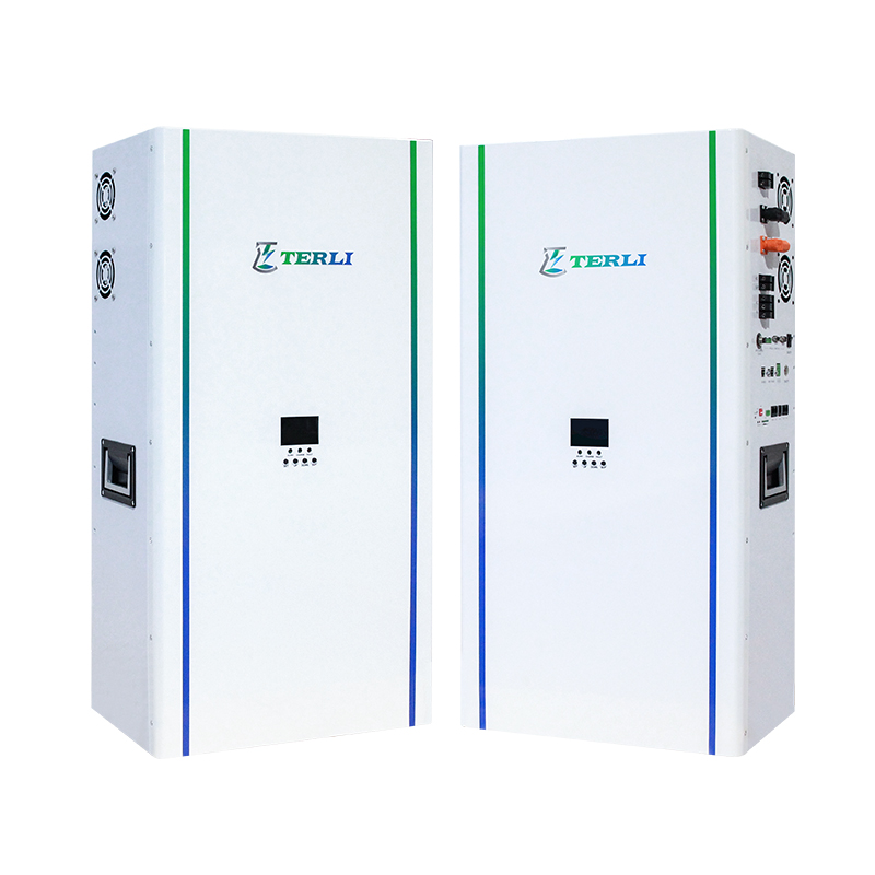 Terli 10Kwh All In One Power Wall Lithium Lifepo4 Storage Battery - Buy ...